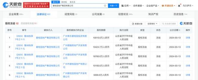 碧桂园股权冻结风波合作方争议与法律异议的深度解析