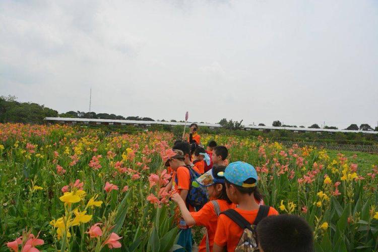 走进自然，感受文化，体验不一样的旅行之旅