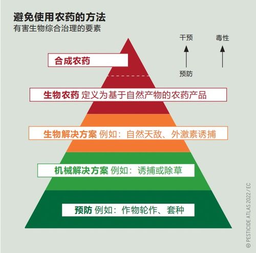 大华在大理的百万方谋局