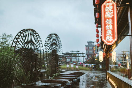 圭塘河街长沙休闲旅游的新篇章——第三届消费季盛大启动