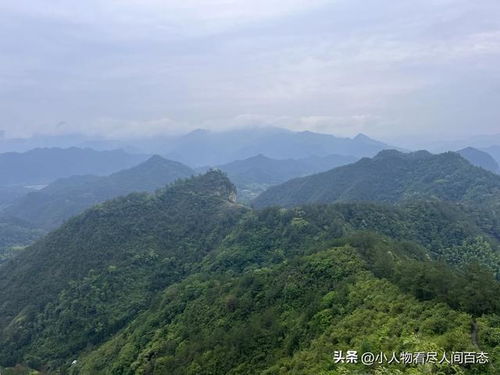 应对景区雷击事件的处理建议