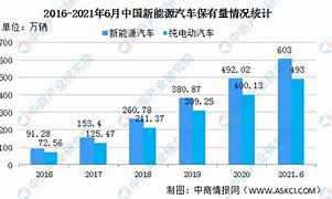 宝马在中国市场的电动化转型前三季度销量飙升，纯电动车销量翻两倍