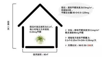 甲醛超标的材料种类