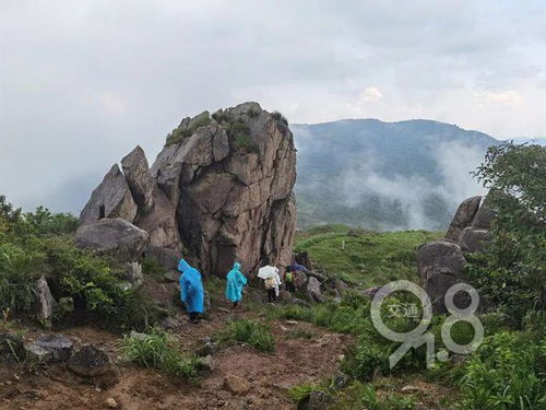 【紧急通报】知名景区遭遇突发雷击，多名游客不幸受伤！