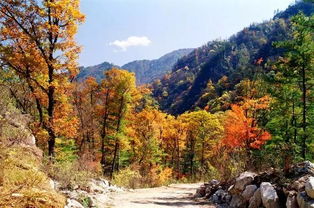 游太白山，山色苍翠，空林幽远