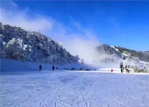 涞源八大景区揭秘：逐一细数，哪些景点是你不容错过的自然奇观