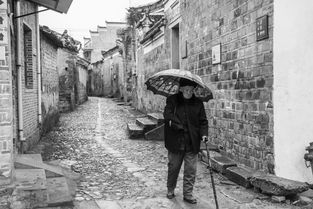 文明之殇，让座遭拒后的雨伞暴力事件反思